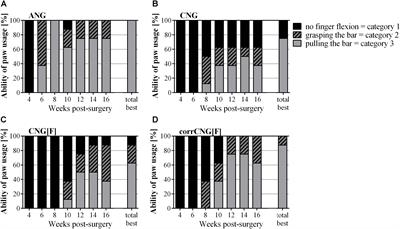 Two-Chambered Chitosan Nerve Guides With Increased Bendability Support Recovery of Skilled Forelimb Reaching Similar to Autologous Nerve Grafts in the Rat 10 mm Median Nerve Injury and Repair Model